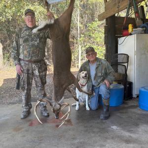 Whitetail Deer Harvest Image #11