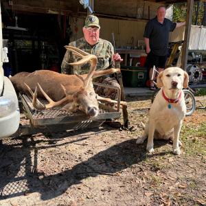 Whitetail Deer Harvest Image #1