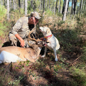 Whitetail Deer Harvest Image #4
