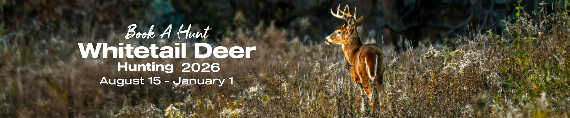 Whitetail Deer Hunting